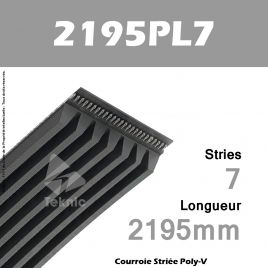 Courroie Poly-V 2195PL7