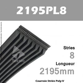 Courroie Poly-V 2195PL8