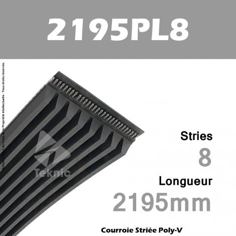 Courroie Poly-V 2195PL8