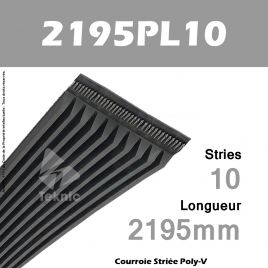 Courroie Poly-V 2195PL10