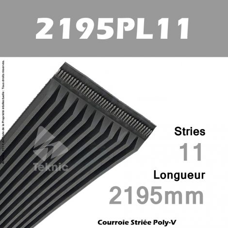 Courroie Poly-V 2195PL11