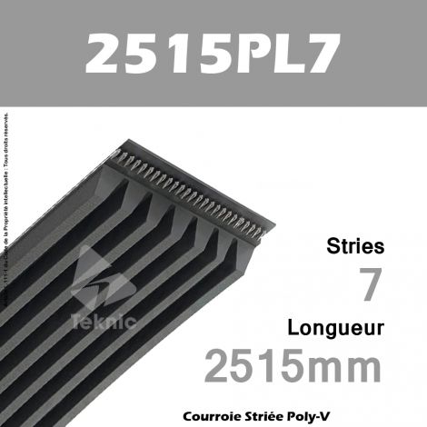 Courroie Poly-V 2515PL7 - Continental