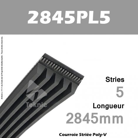 Courroie Poly-V 2845PL5 - Continental