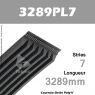 Courroie Poly-V 3289PL7 - Continental