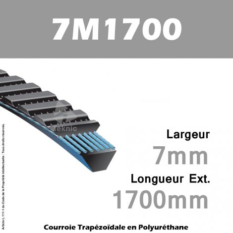 Courroie Polyflex 7M1700